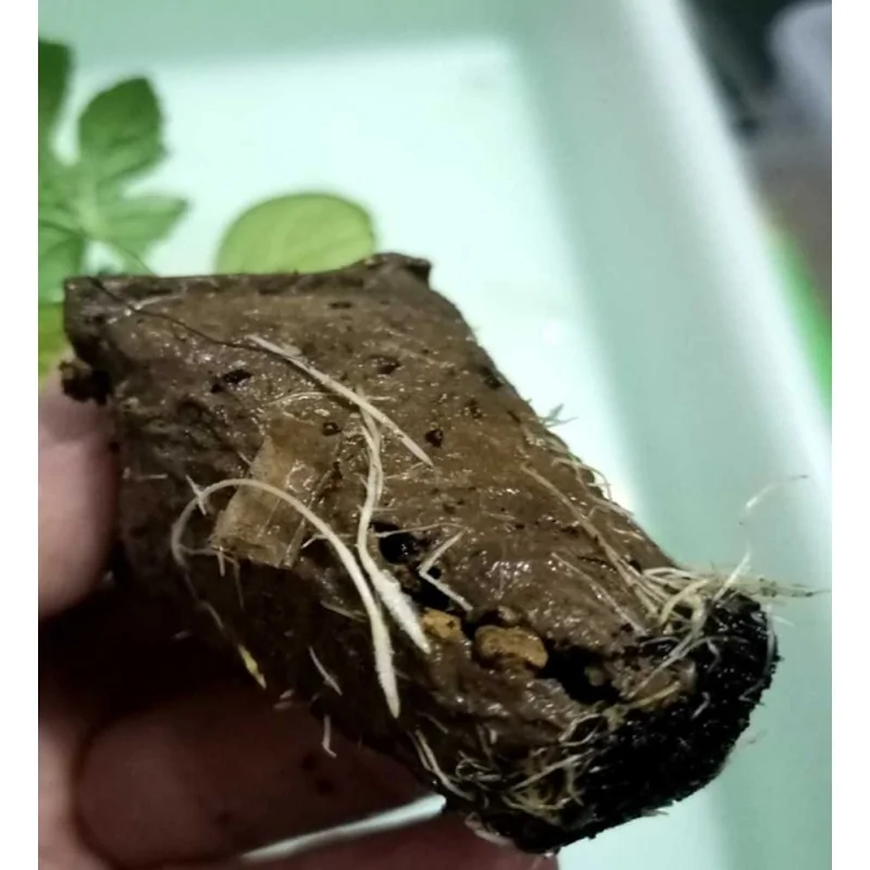 Zeolita para cultivos, chabasita natural, excelente aporte de nutrientes 