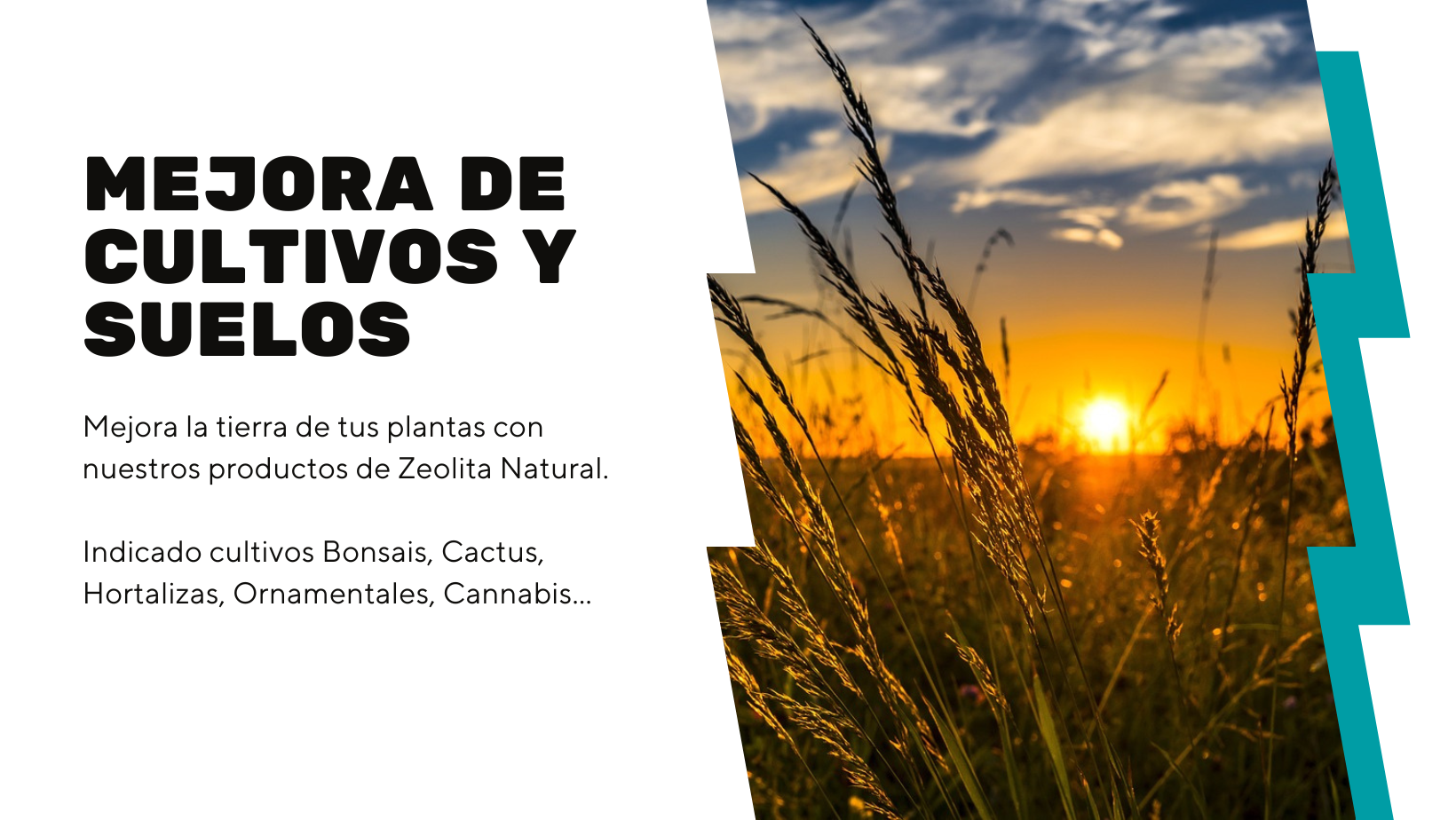 Comprar Zeolita Natural en Polvo en Canarias, Los mejores precios